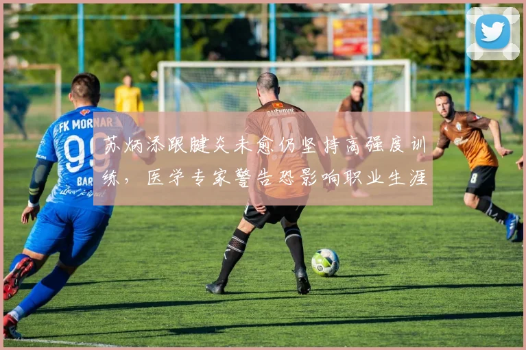 苏炳添跟腱炎未愈仍坚持高强度训练,医学专家警告恐影响职业生涯