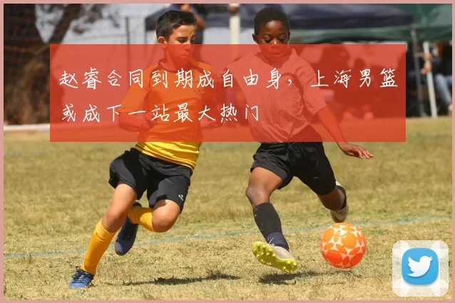 赵睿合同到期成自由身，上海男篮或成下一站最大热门